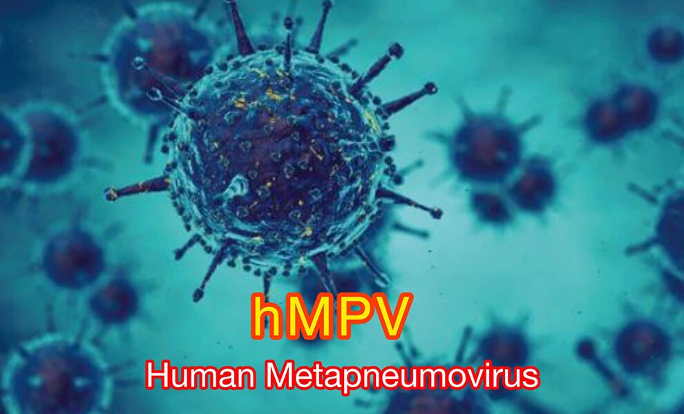 Human Metapneumovirus